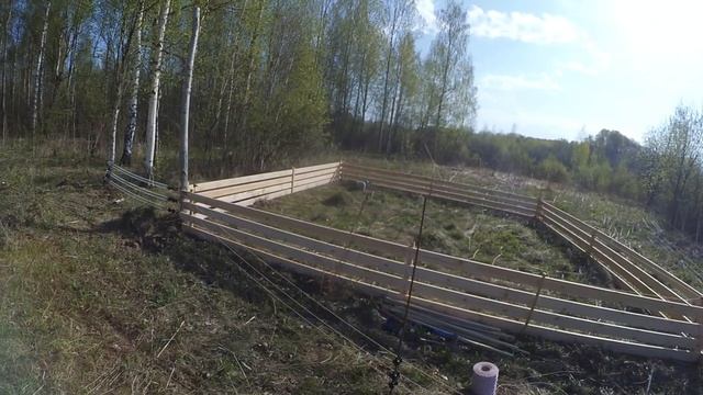 Венгерская мангалица, начало. // переезд в деревню