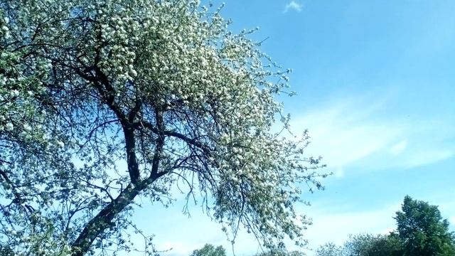 Христианские стихи с очень глубоким смыслом.