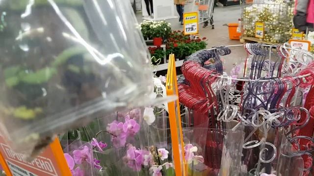 Обзор ОБИ МЕГА БЕЛАЯ ДАЧА на 24.12.2017 смотреть онлайн