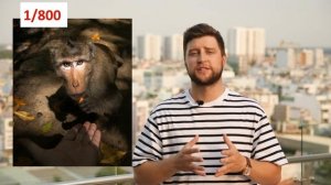 ISO (ИСО). Как влияет значение ISO на фото? Как подобрать оптимальное ISO?