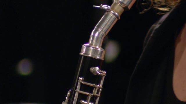 Wolfgang Amadeus Mozart: Requiem in D minor KV 626 смотреть онлайн