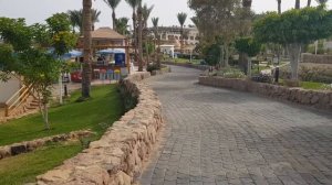 Albatros Royal Grand Sharm в Египете - место для отличного отдыха с потрясающе красивым рифом