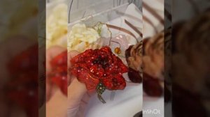 брошь мак из пайеток и бусин (брошь цветок) своими руками