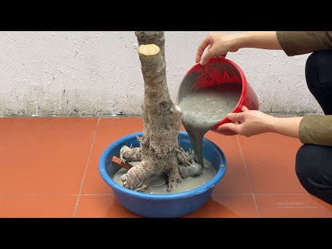 Техника изготовления аквариумов-фонтанов для вашего сада