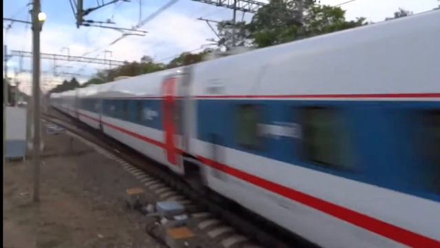 сапсан,стриж,ласточка смотреть онлайн