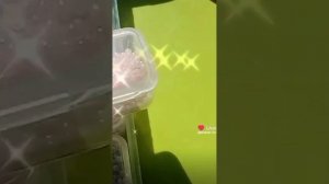 ?Подборка бисероплетения из лайка?