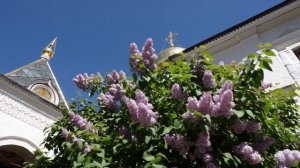 Прогулка по Звенигороду