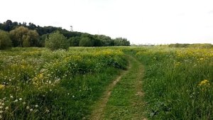 Дьяково городище. Здесь жили одни из самых первых москвичей (I-тыс. до н. э.).