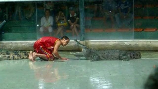 Тайланд, шоу крокодилов