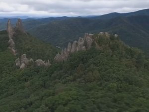 Приморье - край неповторимой природы