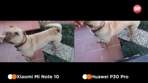 Huawei P30 Pro vs Xiaomi Mi Note 10 kamera kıyaslaması