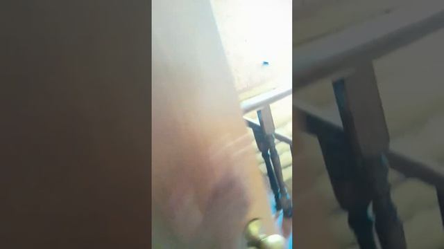 Обзор на Базу Отдыха В Астрахани.Село Растопуловка