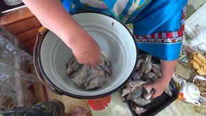 рецепт как посолить рыбу для сушки, самый простой способ посола подлещика густеры и плотвы