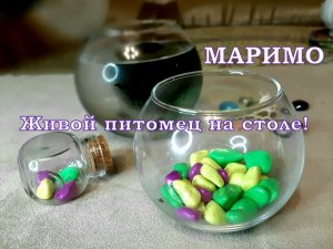 ? ? МАРИМО - Кладофора- водное растение Питомец) ?? Подарок ДРУГУ, ПОДРУГИ или СЕБЕ ЛЮБИМОЙ!