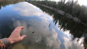Как ловить крупного карася в сентябре? Рыбалка на поплавок.