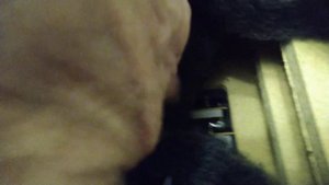 Обзор акустической системы Sony SS-176EB.