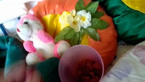 влог с барсиком в лесной гостинице 3