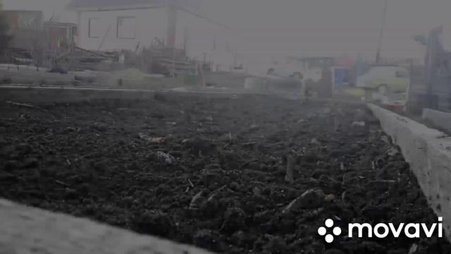 🧘♀️Весенняя посадка сидератов на грядку. смотреть онлайн