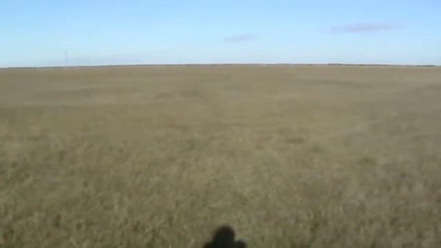 ravnyazhka.mpg смотреть онлайн