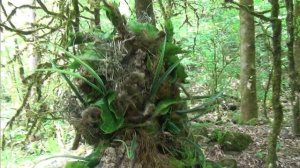 Маскировка.Мои костюмы.Masking.My suits.Airsoft sniper.Снайпер в страйкболе.