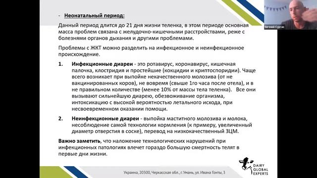Выращивание телят