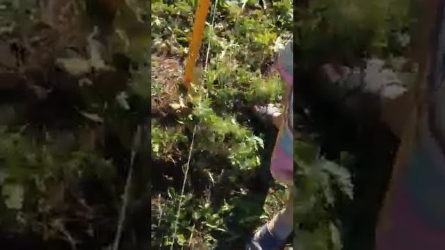 Бурим под столбы на даче как это делать правильно смотреть онлайн