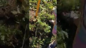 Бурим под столбы на даче как это делать правильно