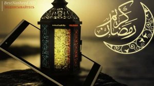 КРАСИВЫЕ НАШИДЫ