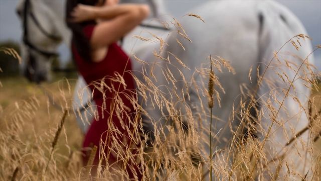 Бэкстейдж фотосессии с Лошадью. Процесс и Результат фотосъемки смотреть онлайн