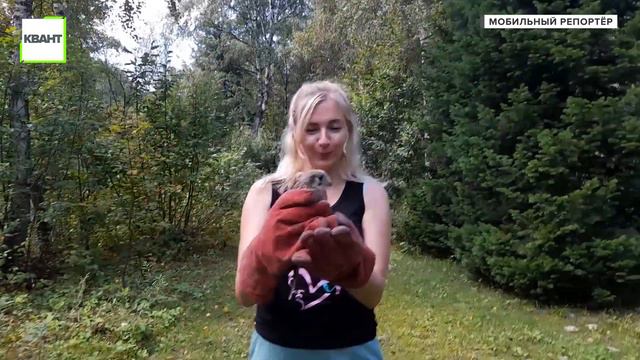 Вылечили и выпустили смотреть онлайн