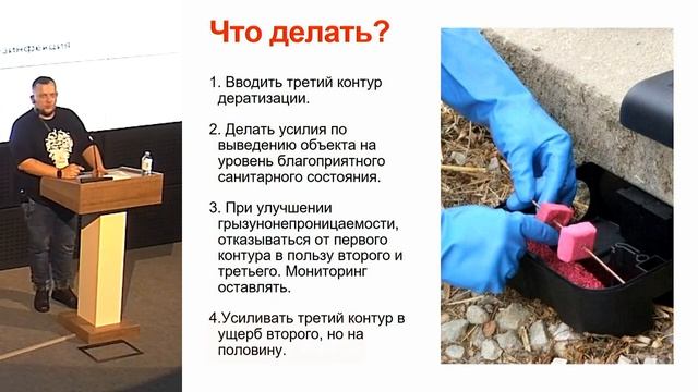 Как избавиться от крыс на предприятиях общественного питания? Доклад об эффективных способах борьбы смотреть онлайн