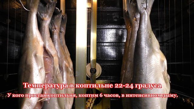 Горбуша холодного копчения мокрый посол. ENG SUB