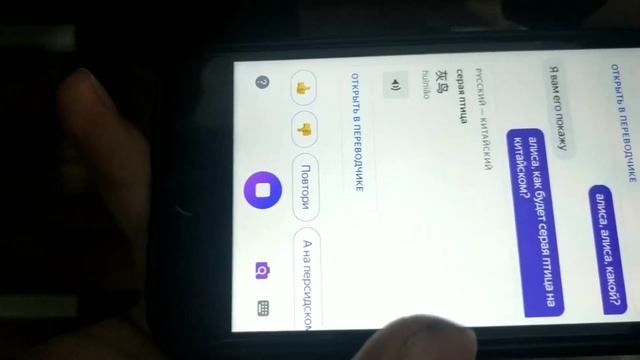 КАК БУДЕТ СЕРАЯ ПТИЦА НА КИТАЙСКОМ#навкладкевтренде#мемы#алиса#переводчик