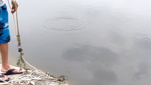 ИВАНОВСКИЙ ПАРК 1905г смотреть онлайн