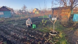 Как подготовить дачу к зиме? Чем Обработать деревья на зиму? Как Укрыть деревья на зиму?