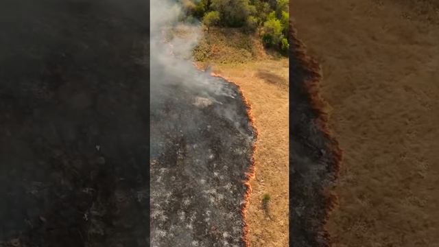 Пожар около дома Симбочки?