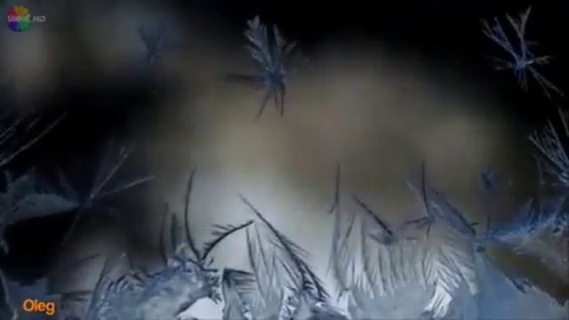 Новинка Татьяна Козловская Ледяные Розы. смотреть онлайн