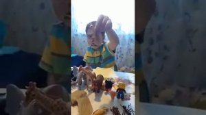 Размер животных.