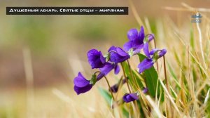 🔴 Стоит ли рай отказа от земных удовольствий - #Верую_православие