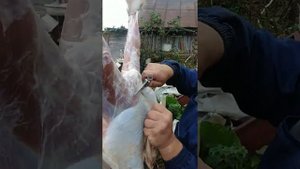 Подробная разделка козлика