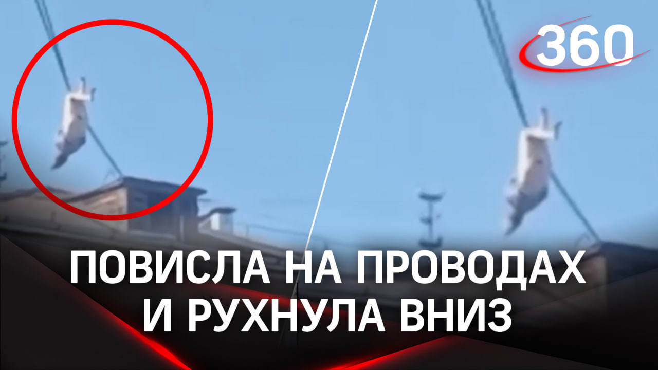 Женщина-кошка повисла на проводах и рухнула вниз в Первоуральске