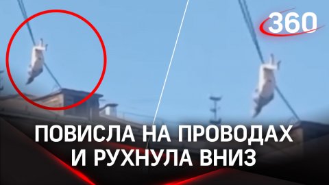 Женщина-кошка повисла на проводах и рухнула вниз в Первоуральске