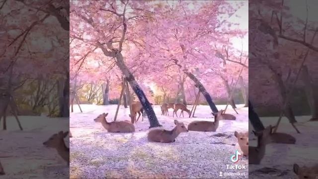 просто красиво!!!