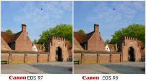 Canon EOS R7 vs Canon EOS R6 Camera Test