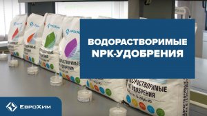 ВОДОРАСТВОРИМЫЕ NPK-УДОБРЕНИЯ ЕВРОХИМ