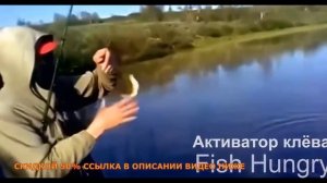 Обзор Fish Hunt активатор клева отзывы, фиш хант стимулятор улова, приманка, цена, купить