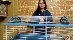 Новая клетка для Чижуни