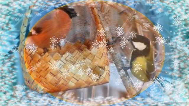 ·•●♥๑ஐЗимушка, Зимушка ах ты хороша! ஐ๑♥●•·  #Детскаяпесенка#