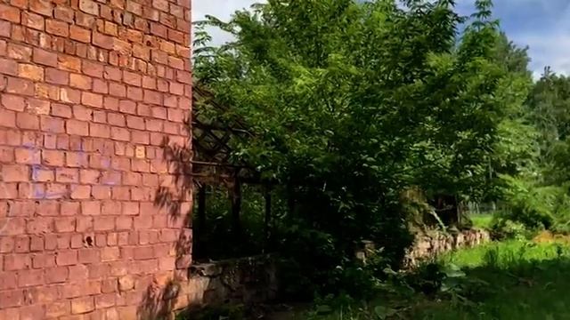 Школьные теплицы - славное прошлое советского времени