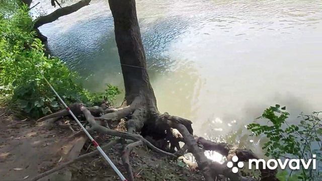 Рыбалка на реке Кубань смотреть онлайн